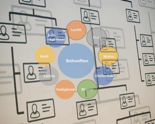 Bedrijfsorganisatie's image